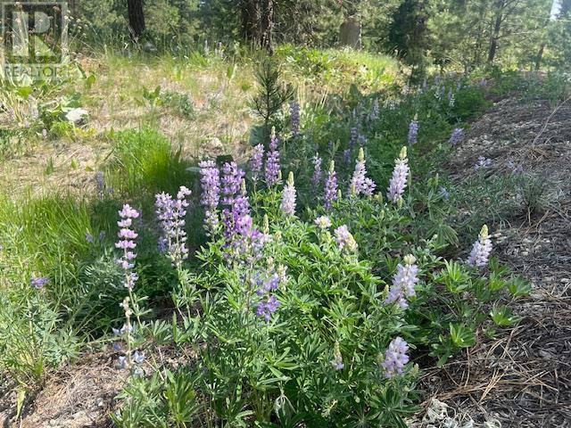 240 Sasquatch Trail Lot# Lot 9, Osoyoos, British Columbia  V0H 1V6 - Photo 10 - 10351942