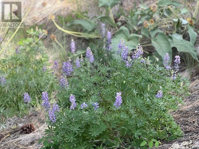 240 Sasquatch Trail Lot# Lot 9, Osoyoos, British Columbia  V0H 1V6 - Photo 11 - 10351942