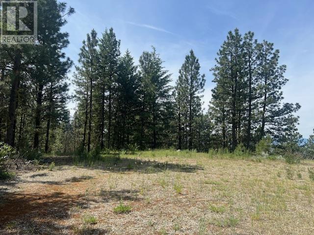 240 Sasquatch Trail Lot# Lot 9, Osoyoos, British Columbia  V0H 1V6 - Photo 3 - 10351942