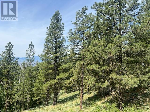 240 Sasquatch Trail Lot# Lot 9, Osoyoos, British Columbia  V0H 1V6 - Photo 4 - 10351942