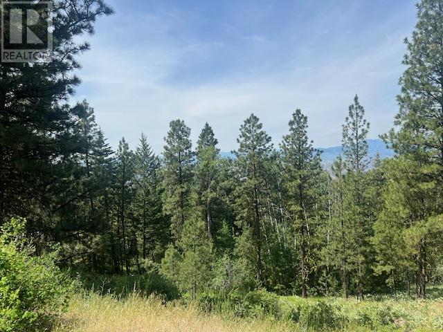 240 Sasquatch Trail Lot# Lot 9, Osoyoos, British Columbia  V0H 1V6 - Photo 5 - 10351942