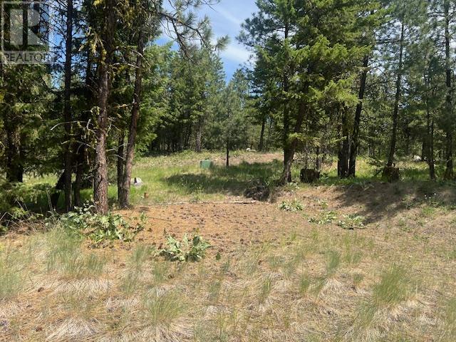 240 Sasquatch Trail Lot# Lot 9, Osoyoos, British Columbia  V0H 1V6 - Photo 7 - 10351942