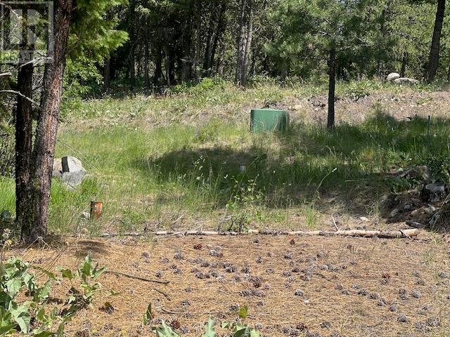 240 Sasquatch Trail Lot# Lot 9, Osoyoos, British Columbia  V0H 1V6 - Photo 8 - 10351942