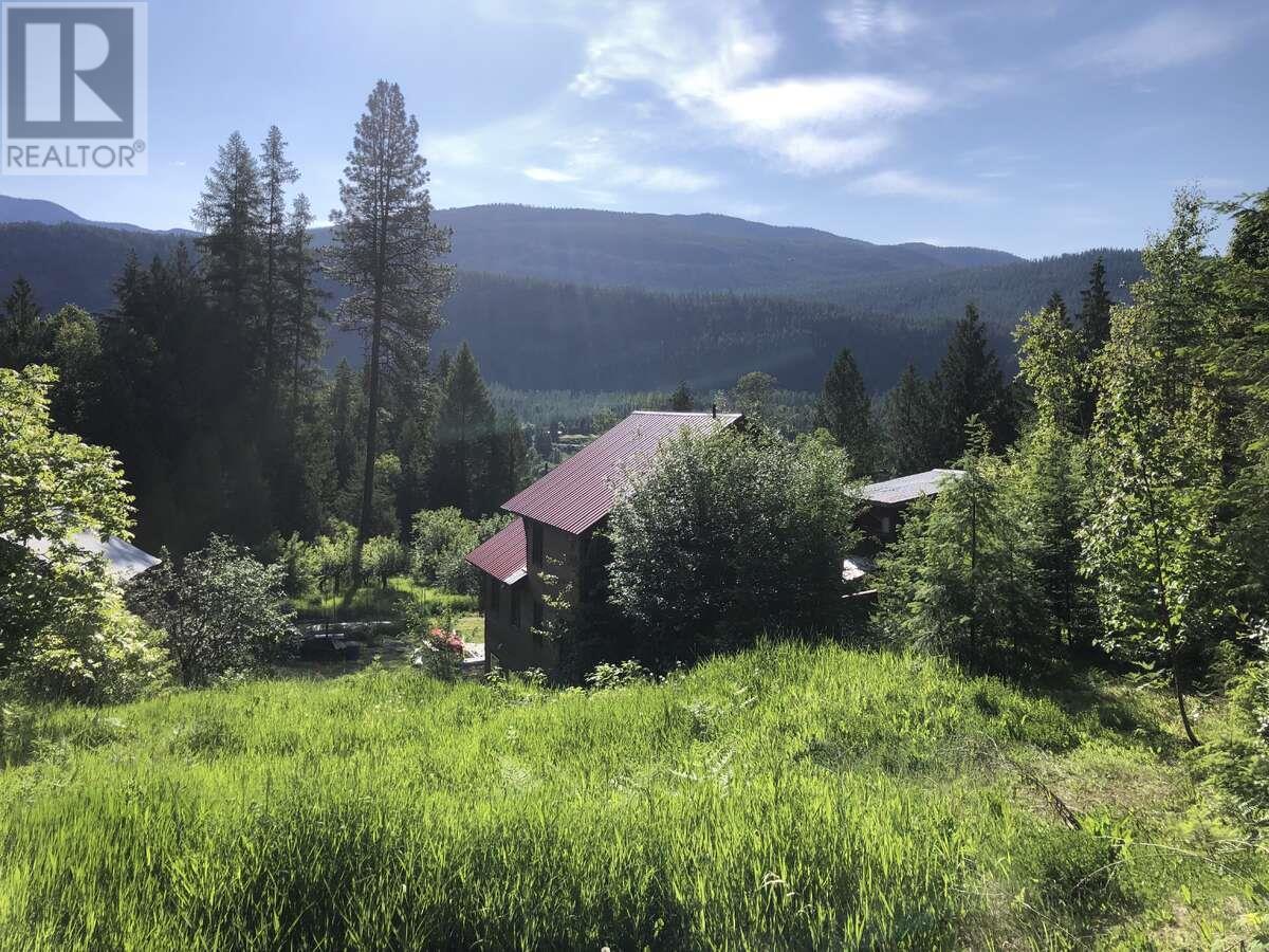 6119 Slocan River Road, Appledale, British Columbia  V0G 2J0 - Photo 28 - 10352161