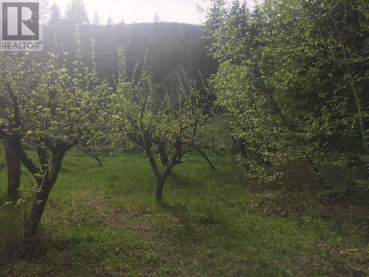 6119 Slocan River Road, Appledale, British Columbia  V0G 2J0 - Photo 29 - 10352161
