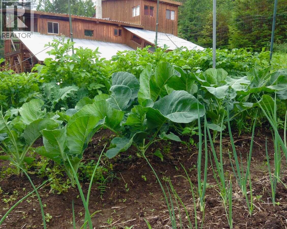 6119 Slocan River Road, Appledale, British Columbia  V0G 2J0 - Photo 46 - 10352161