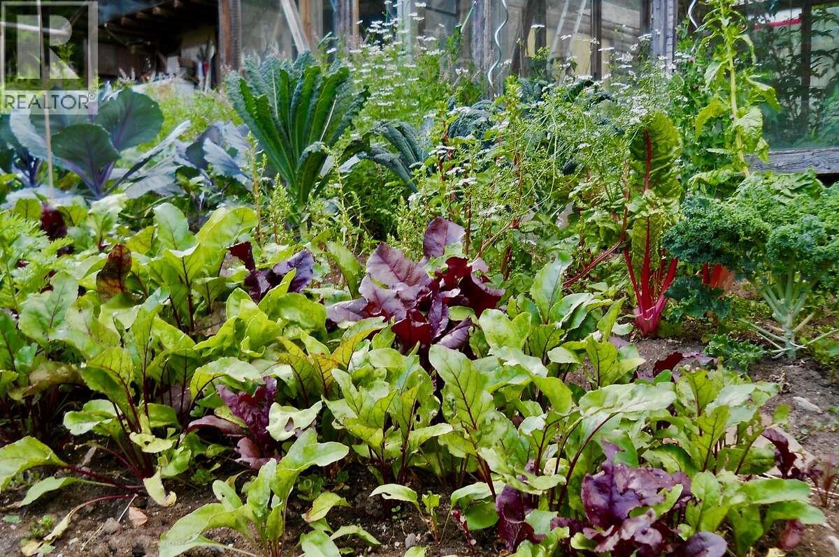 6119 Slocan River Road, Appledale, British Columbia  V0G 2J0 - Photo 47 - 10352161