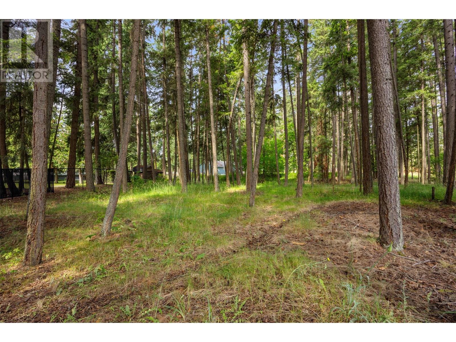 3789 Zinck Road, Scotch Creek, British Columbia  V0E 1M5 - Photo 54 - 10351895