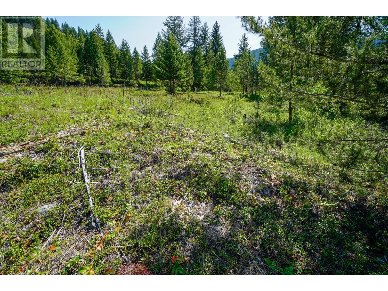 Lot 6 Mary G Road, Beaverdell, British Columbia  V0H 1A0 - Photo 6 - 10351847