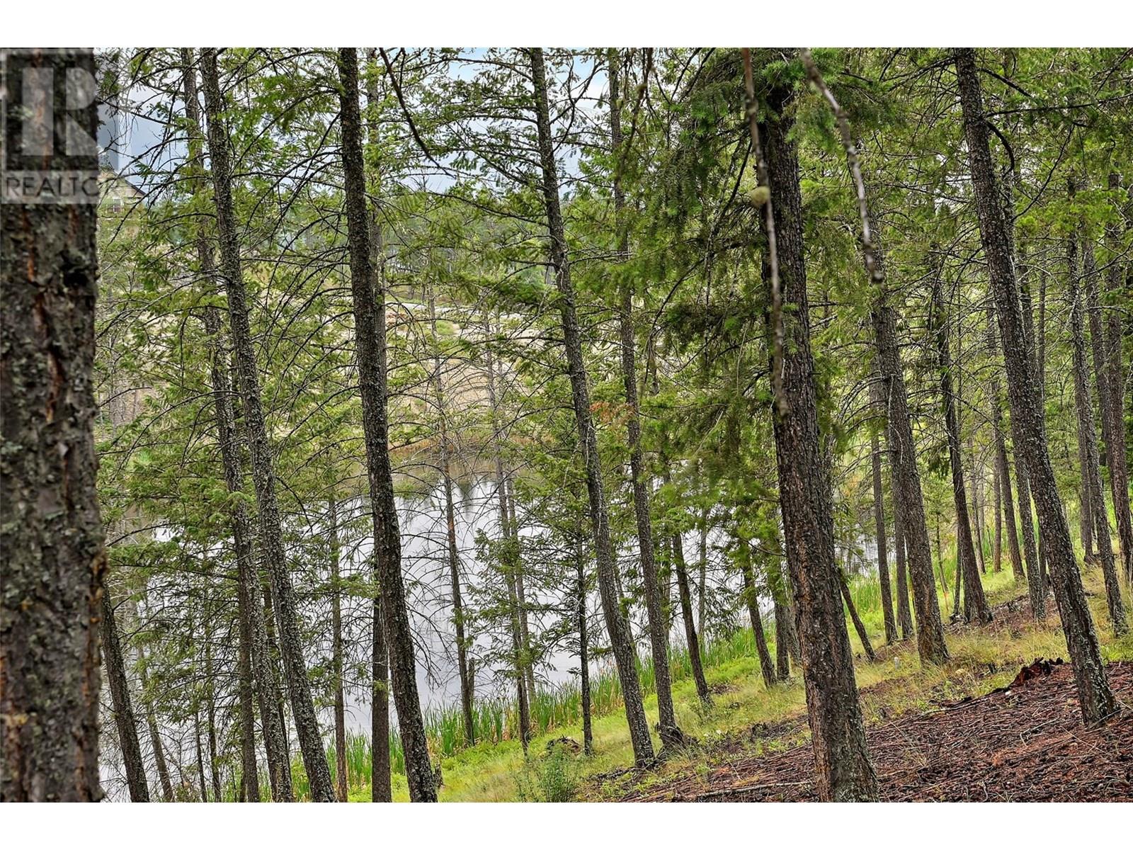 2522 Cobblestone Trail, Invermere, British Columbia  V0A 1K6 - Photo 50 - 10351410