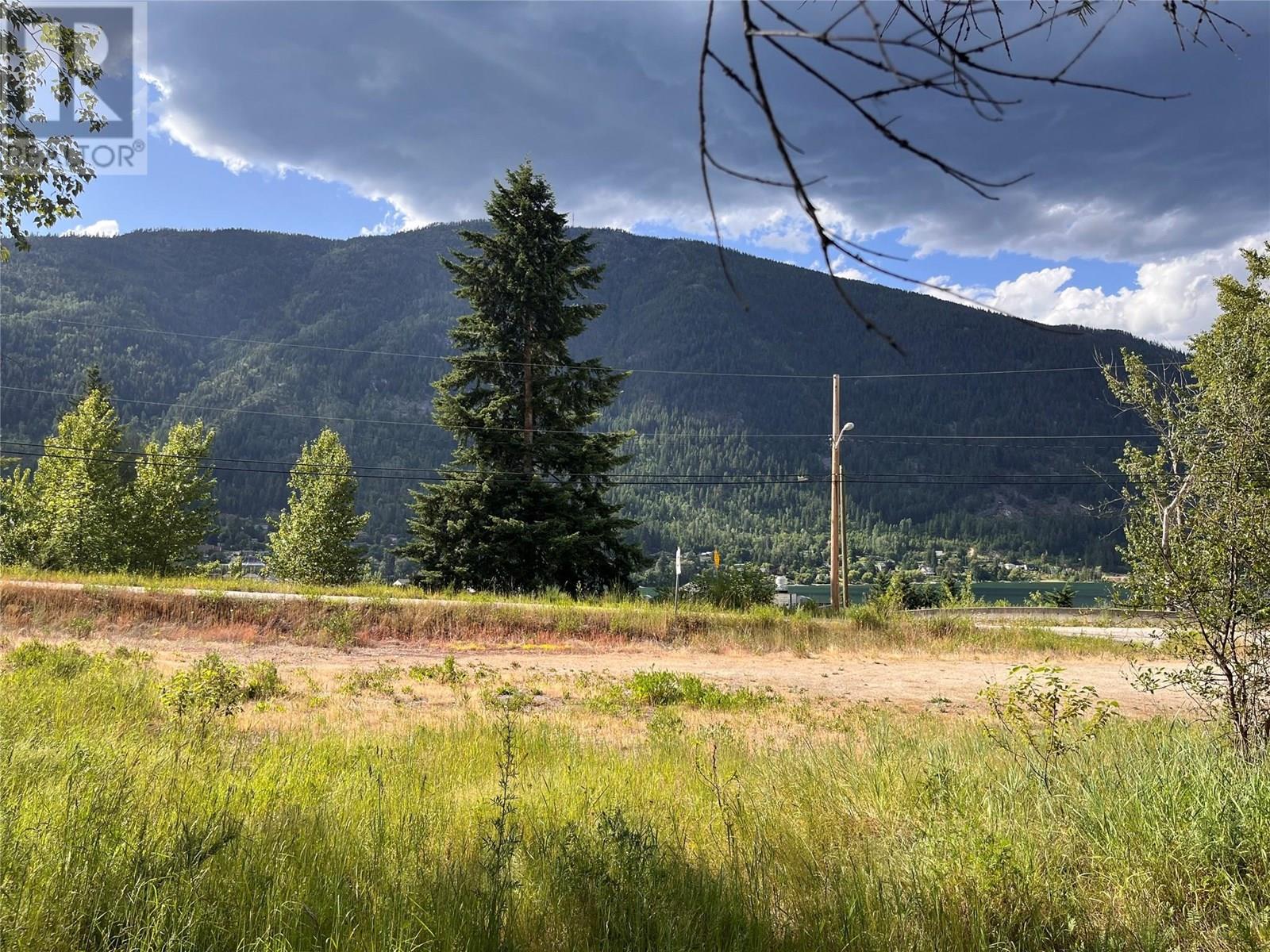 1102 Bealby Street, Nelson, British Columbia  V1L 3B4 - Photo 11 - 10352205