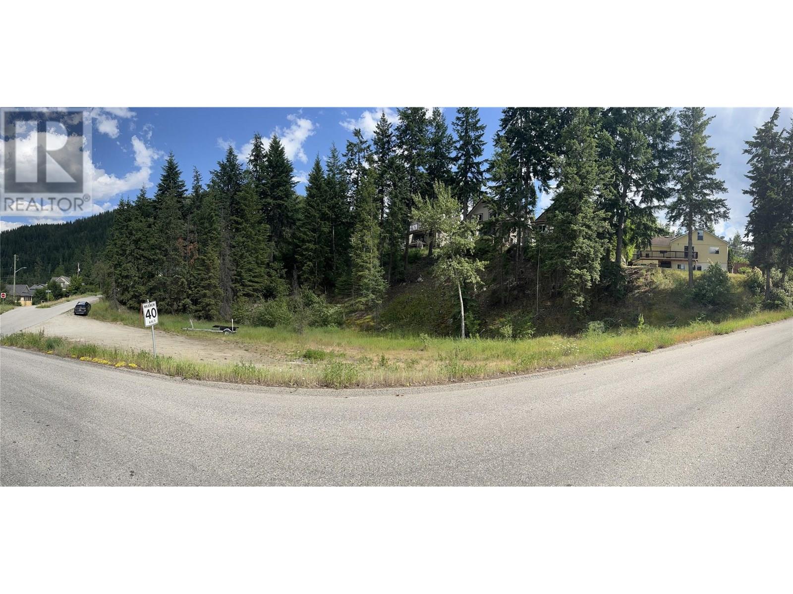 1102 Bealby Street, Nelson, British Columbia  V1L 3B4 - Photo 12 - 10352205