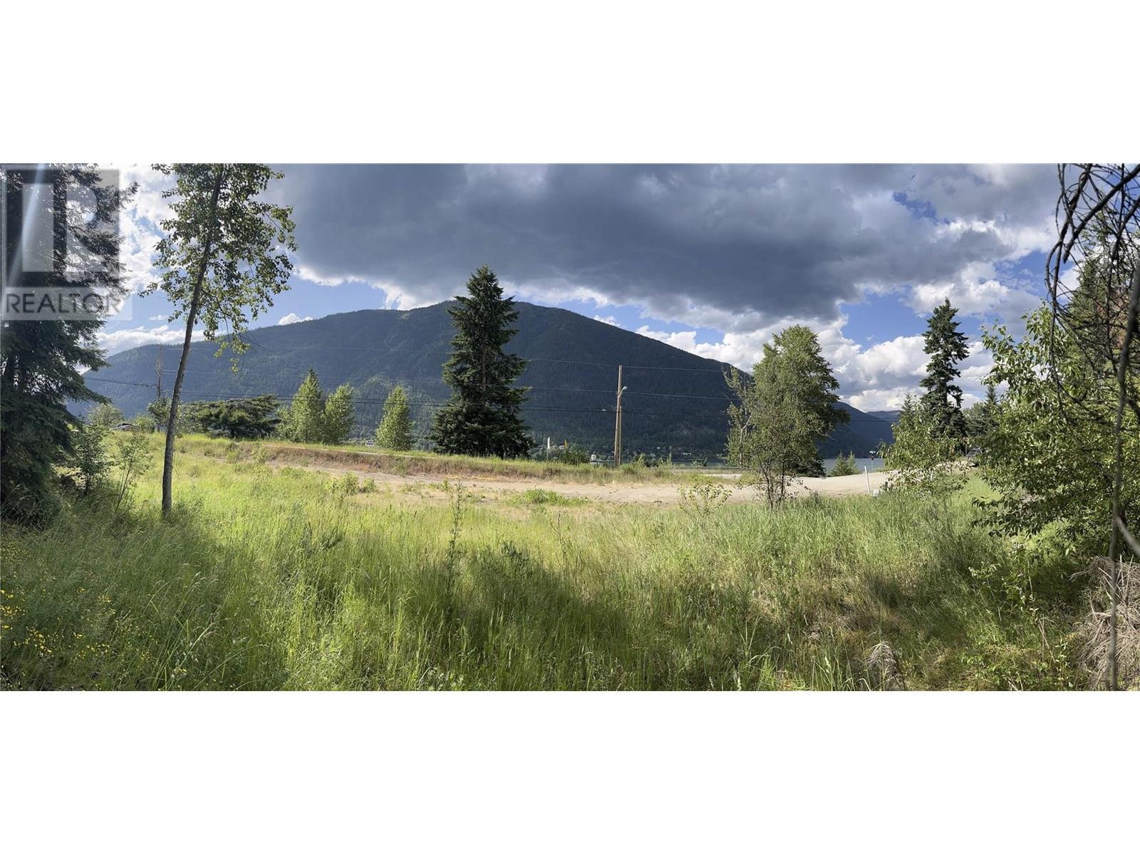 1102 Bealby Street, Nelson, British Columbia  V1L 3B4 - Photo 13 - 10352205