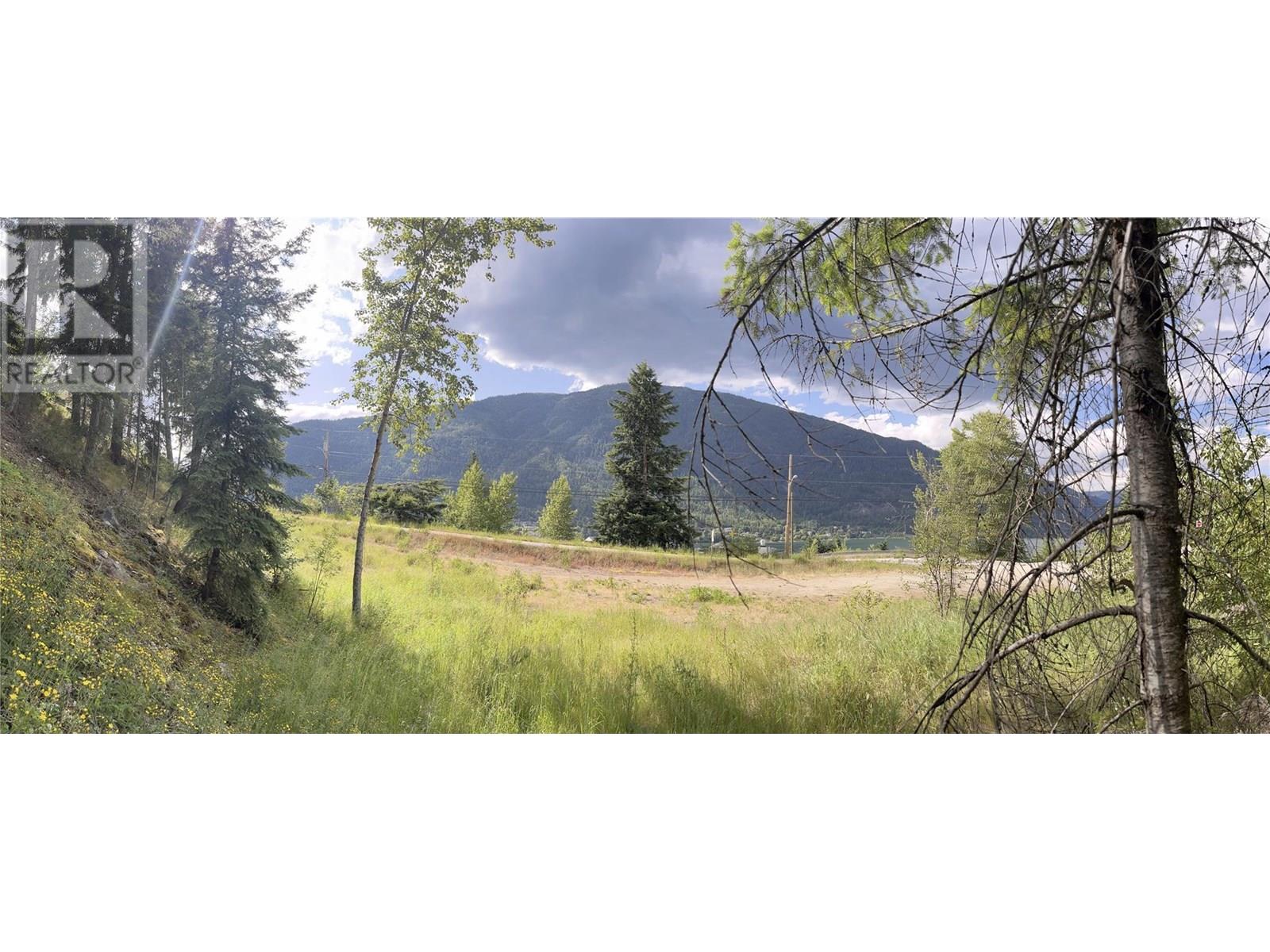 1102 Bealby Street, Nelson, British Columbia  V1L 3B4 - Photo 14 - 10352205