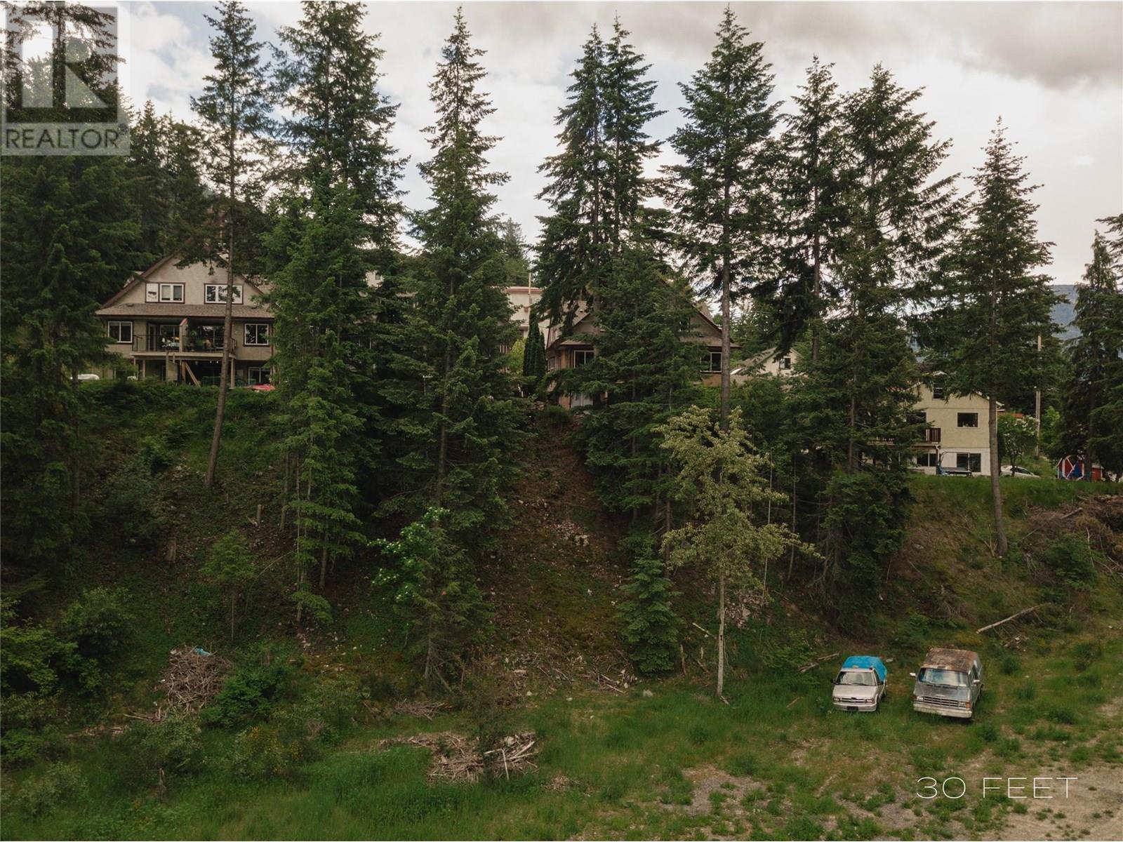1102 Bealby Street, Nelson, British Columbia  V1L 3B4 - Photo 3 - 10352205