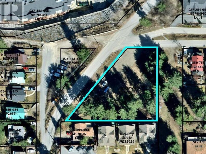 1102 Bealby Street, Nelson, British Columbia  V1L 3B4 - Photo 9 - 10352205