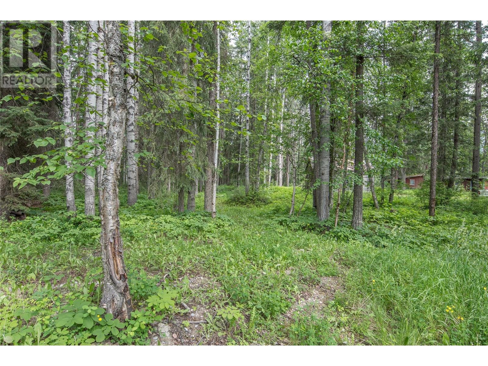 1691 Oberg Johnson Road, Golden, British Columbia  V0A 1H1 - Photo 48 - 10352667