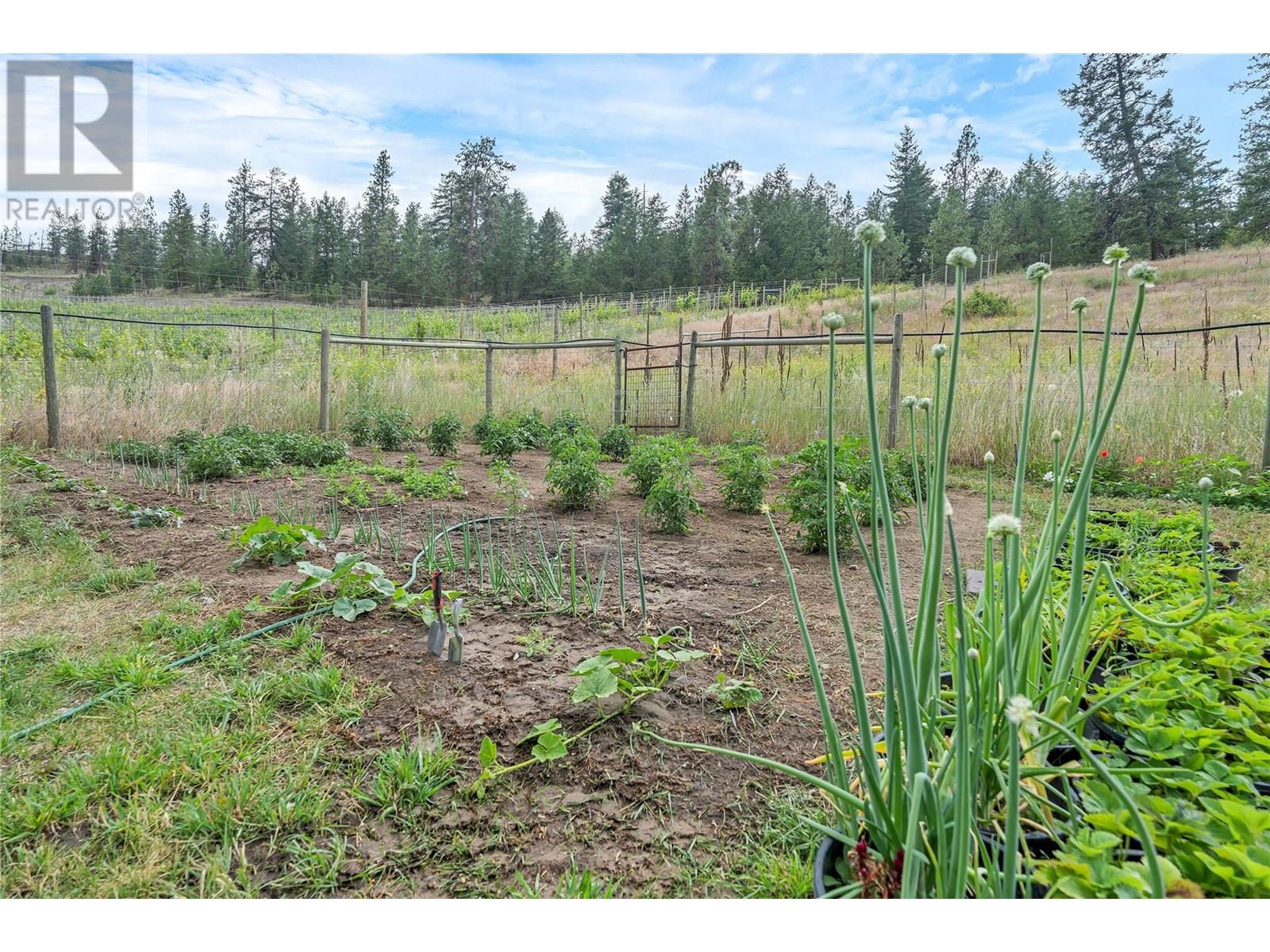 16109 Dale Meadows Road, Summerland, British Columbia  V0H 1Z8 - Photo 17 - 10353101