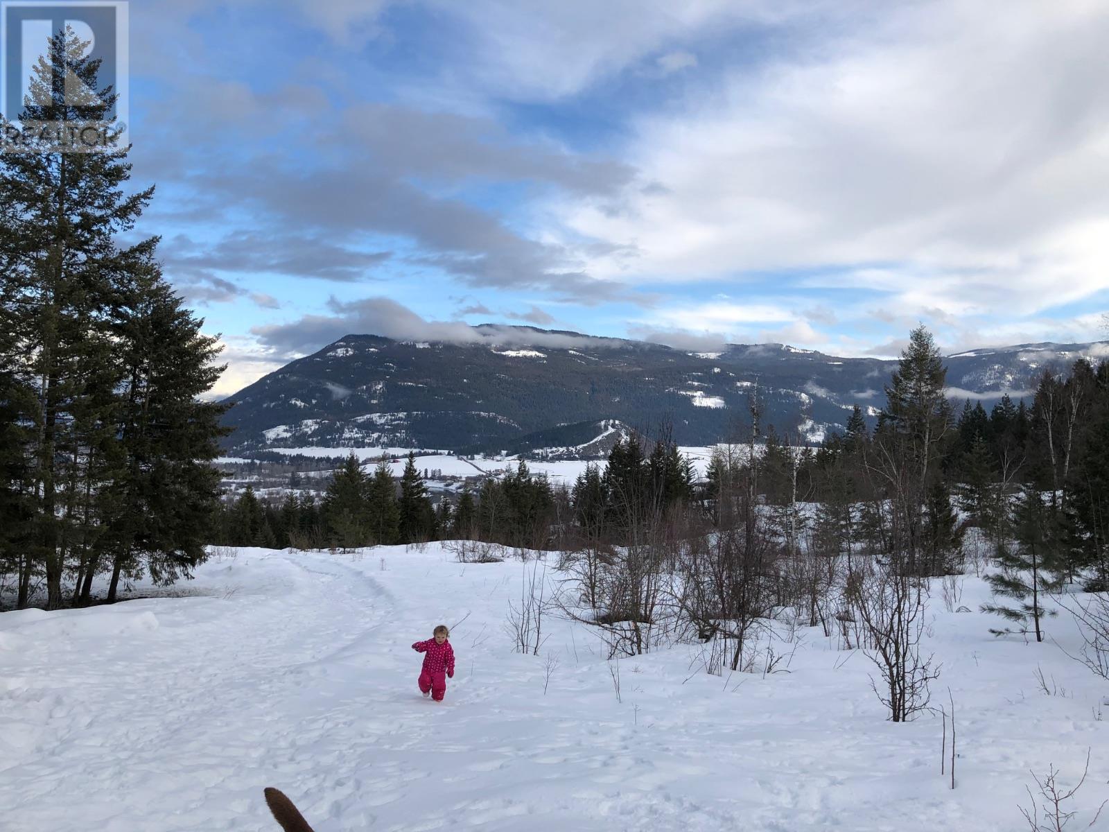 402 Princess Street, Enderby, British Columbia  V0E 1V1 - Photo 4 - 10352384