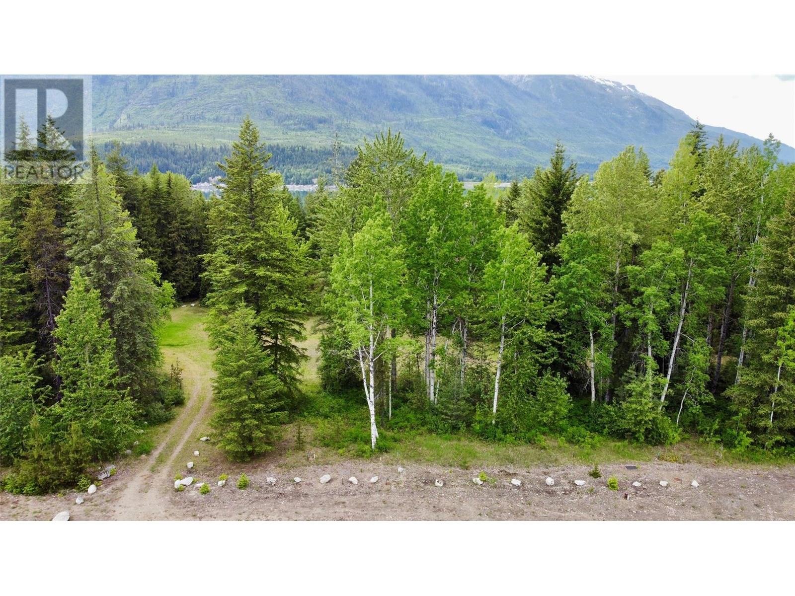 Lot A Mccormack Road, Burton, British Columbia  V0G 1R0 - Photo 17 - 10348053