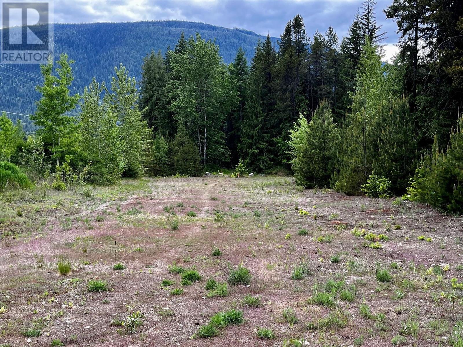 Lot A Mccormack Road, Burton, British Columbia  V0G 1R0 - Photo 28 - 10348053