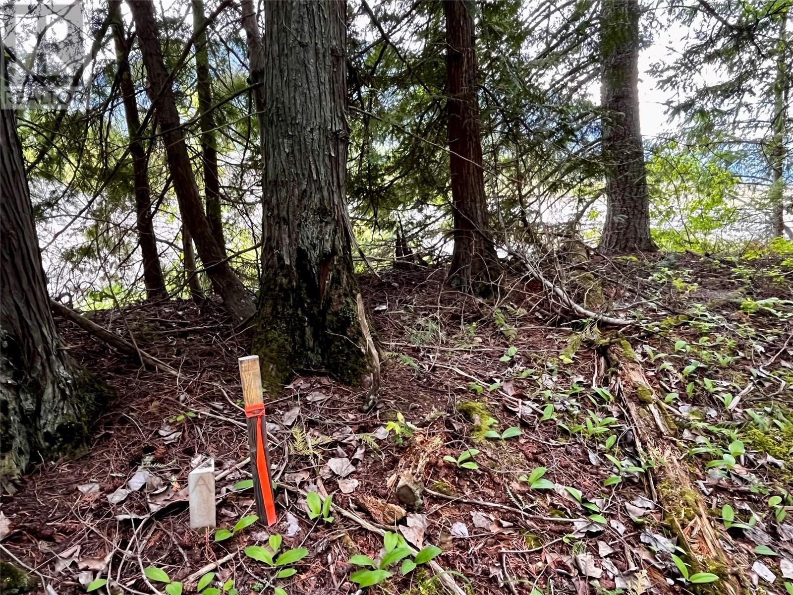 Lot A Mccormack Road, Burton, British Columbia  V0G 1R0 - Photo 36 - 10348053