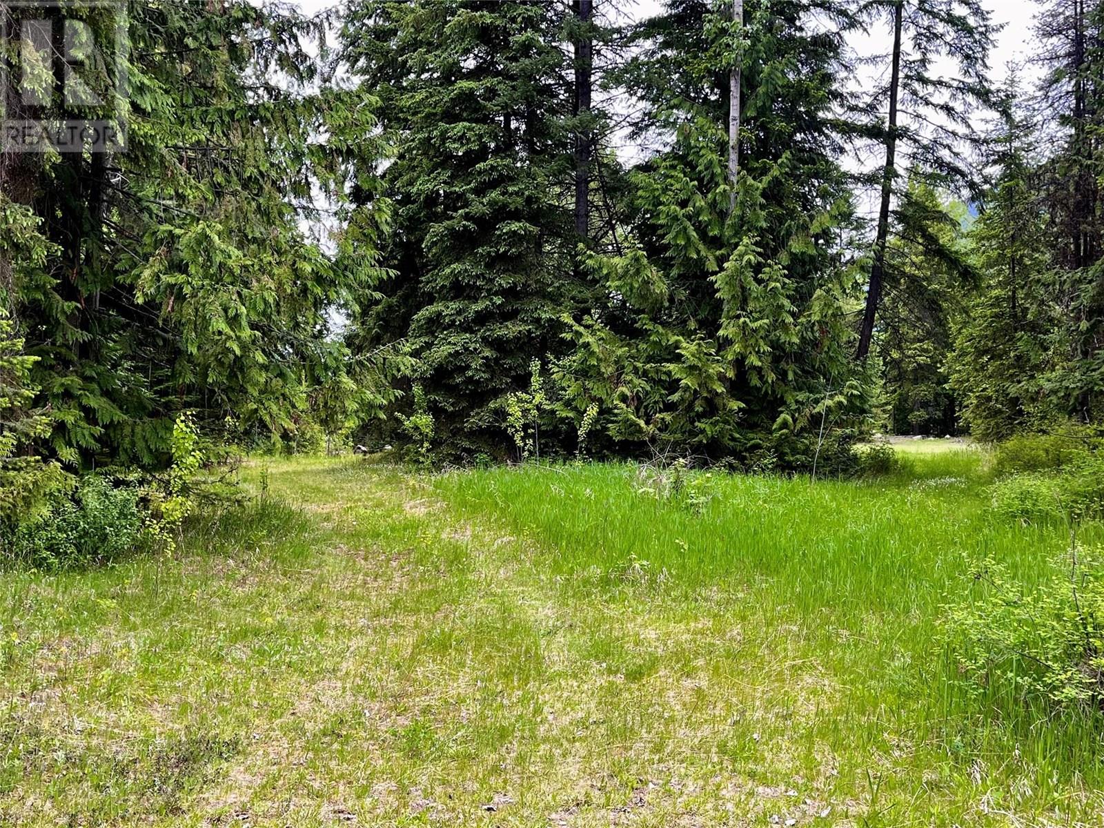 Lot A Mccormack Road, Burton, British Columbia  V0G 1R0 - Photo 43 - 10348053