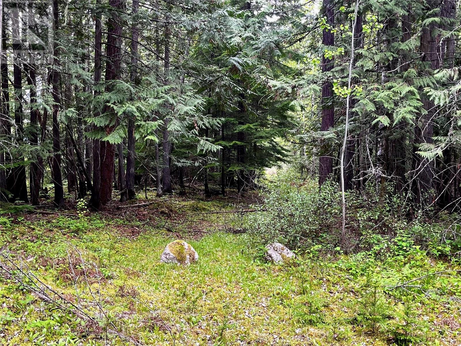 Lot A Mccormack Road, Burton, British Columbia  V0G 1R0 - Photo 44 - 10348053