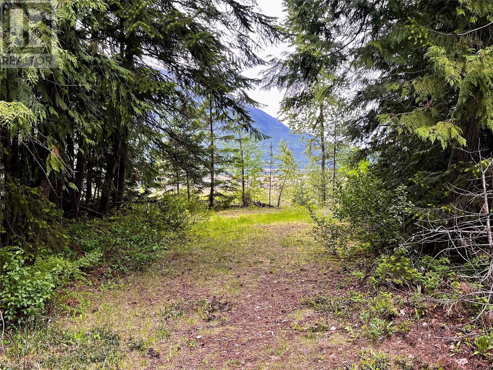 Lot A Mccormack Road, Burton, British Columbia  V0G 1R0 - Photo 47 - 10348053
