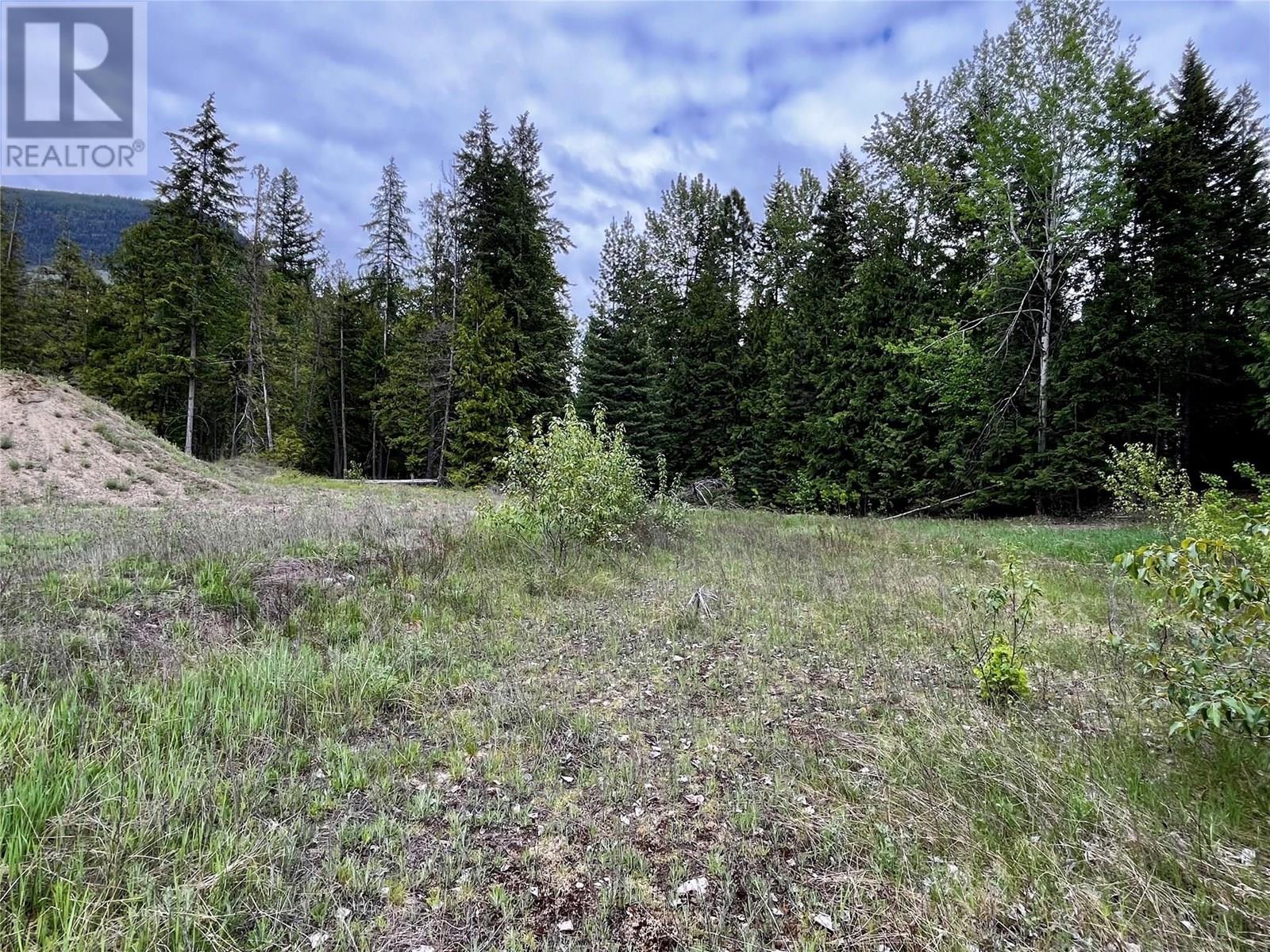 Lot A Mccormack Road, Burton, British Columbia  V0G 1R0 - Photo 51 - 10348053