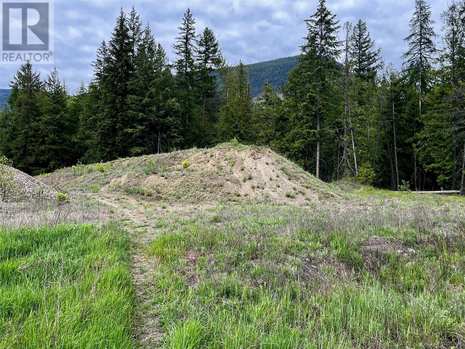 Lot A Mccormack Road, Burton, British Columbia  V0G 1R0 - Photo 52 - 10348053