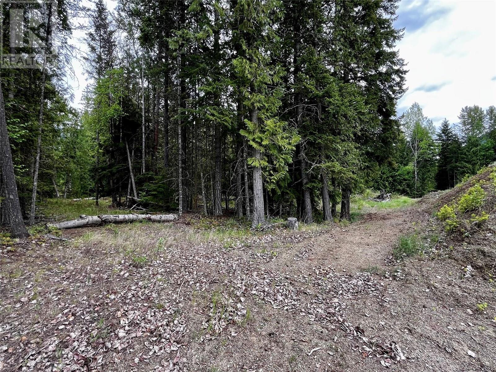 Lot A Mccormack Road, Burton, British Columbia  V0G 1R0 - Photo 57 - 10348053