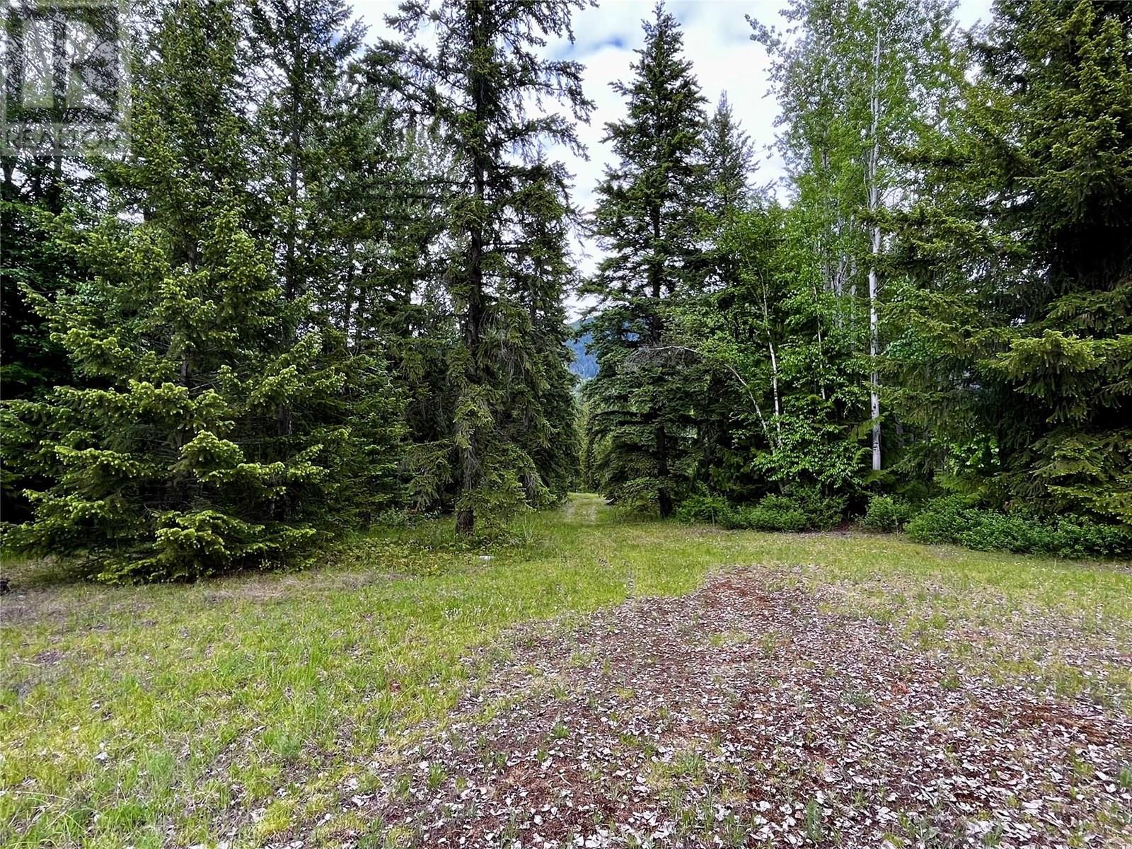 Lot A Mccormack Road, Burton, British Columbia  V0G 1R0 - Photo 63 - 10348053