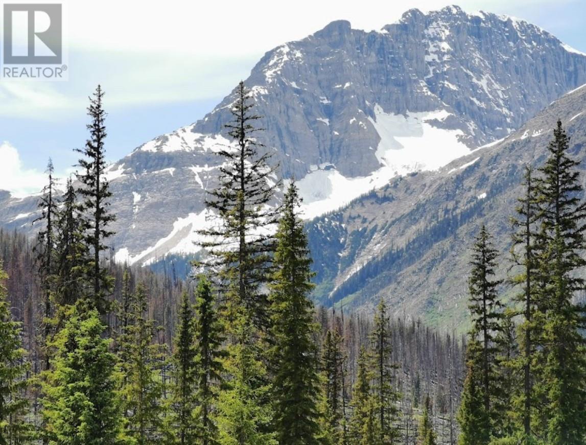 9500 Highway 93 S, Spillimacheen, British Columbia  V0A 1M0 - Photo 11 - 10353441