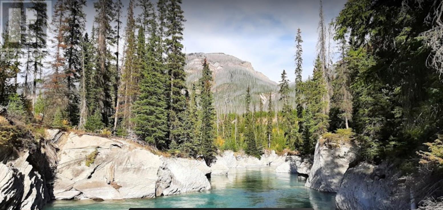 9500 Highway 93 S, Spillimacheen, British Columbia  V0A 1M0 - Photo 3 - 10353441