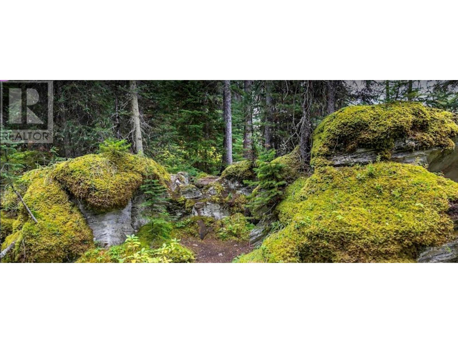 9500 Highway 93 S, Spillimacheen, British Columbia  V0A 1M0 - Photo 5 - 10353441