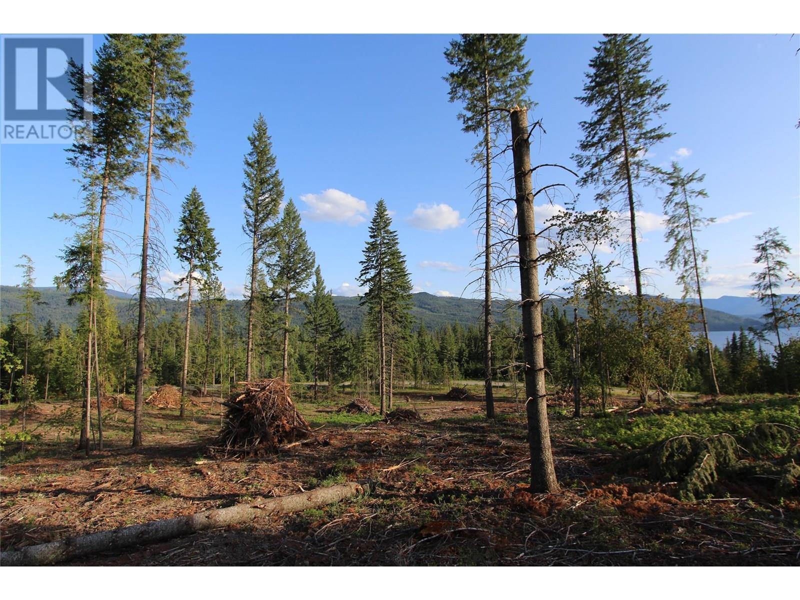 Pcl Z Squilax-Anglemont Road, Anglemont, British Columbia  V0E 1M8 - Photo 20 - 10353486