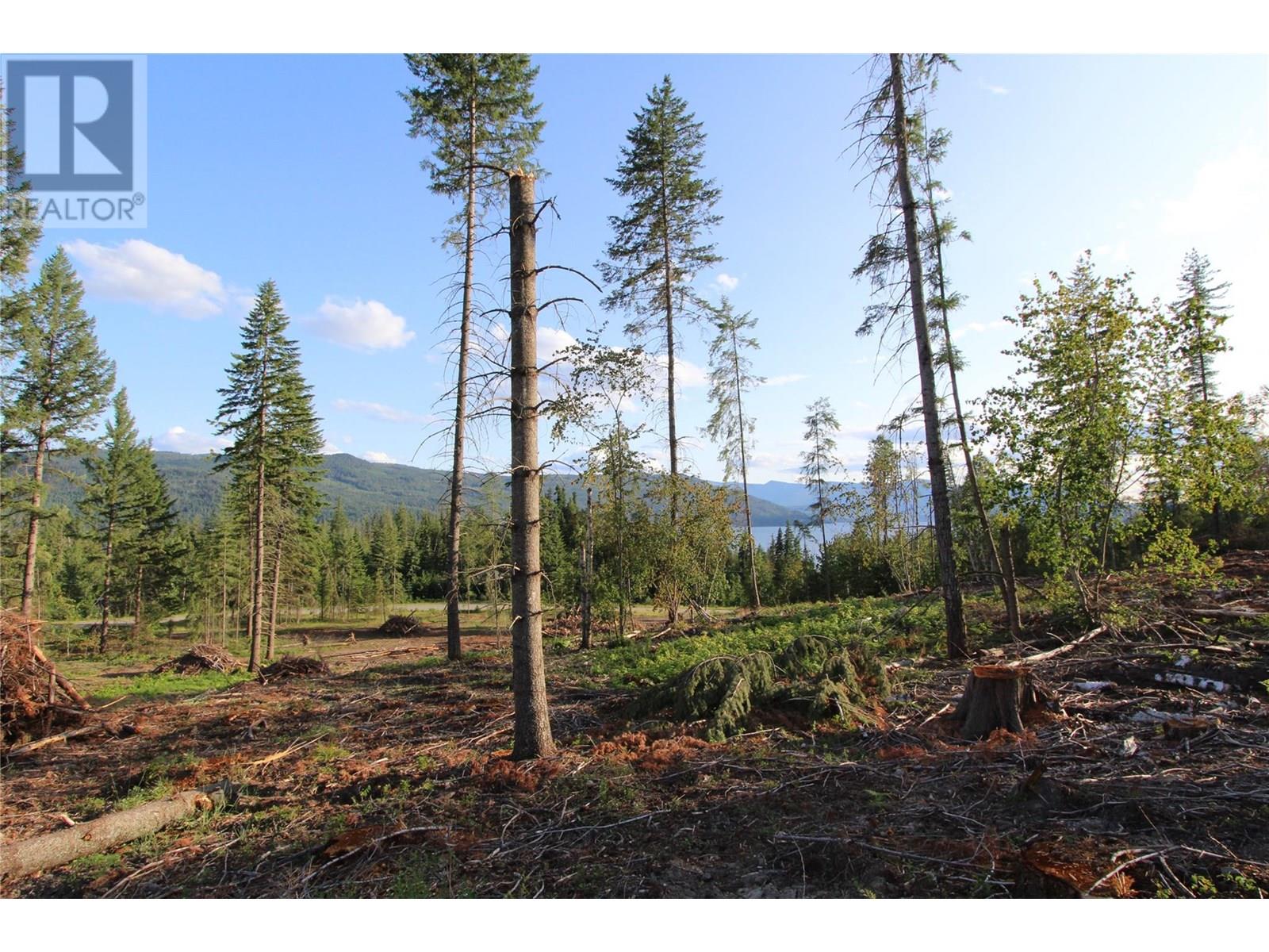 Pcl Z Squilax-Anglemont Road, Anglemont, British Columbia  V0E 1M8 - Photo 21 - 10353486