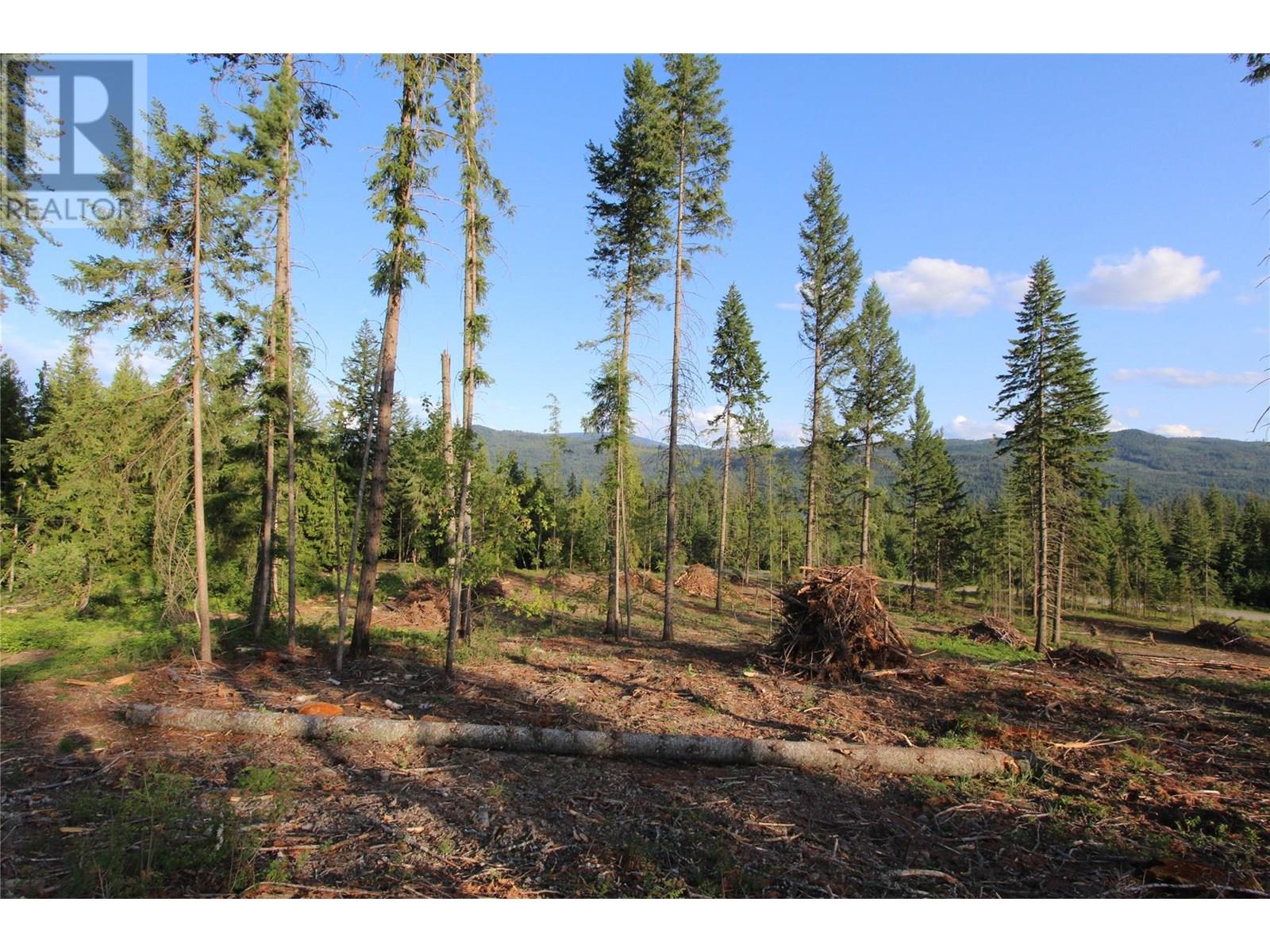 Pcl Z Squilax-Anglemont Road, Anglemont, British Columbia  V0E 1M8 - Photo 6 - 10353486