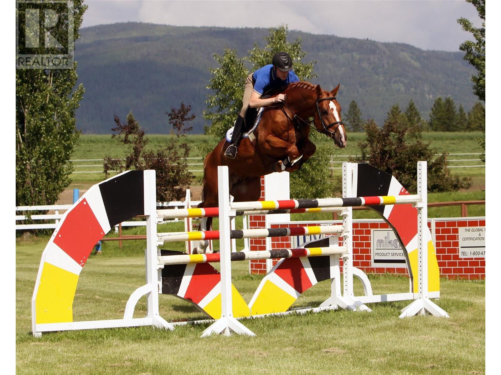 910 Lumby Mabel Lake Road, Lumby, British Columbia  V0E 2G5 - Photo 3 - 10353461