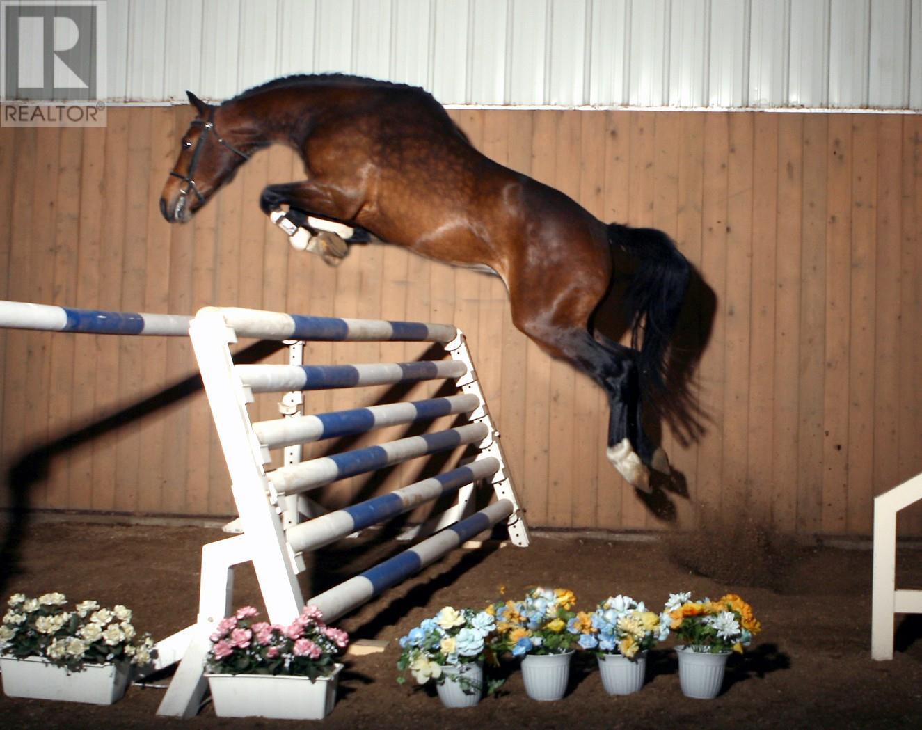 910 Lumby Mabel Lake Road, Lumby, British Columbia  V0E 2G5 - Photo 33 - 10353461