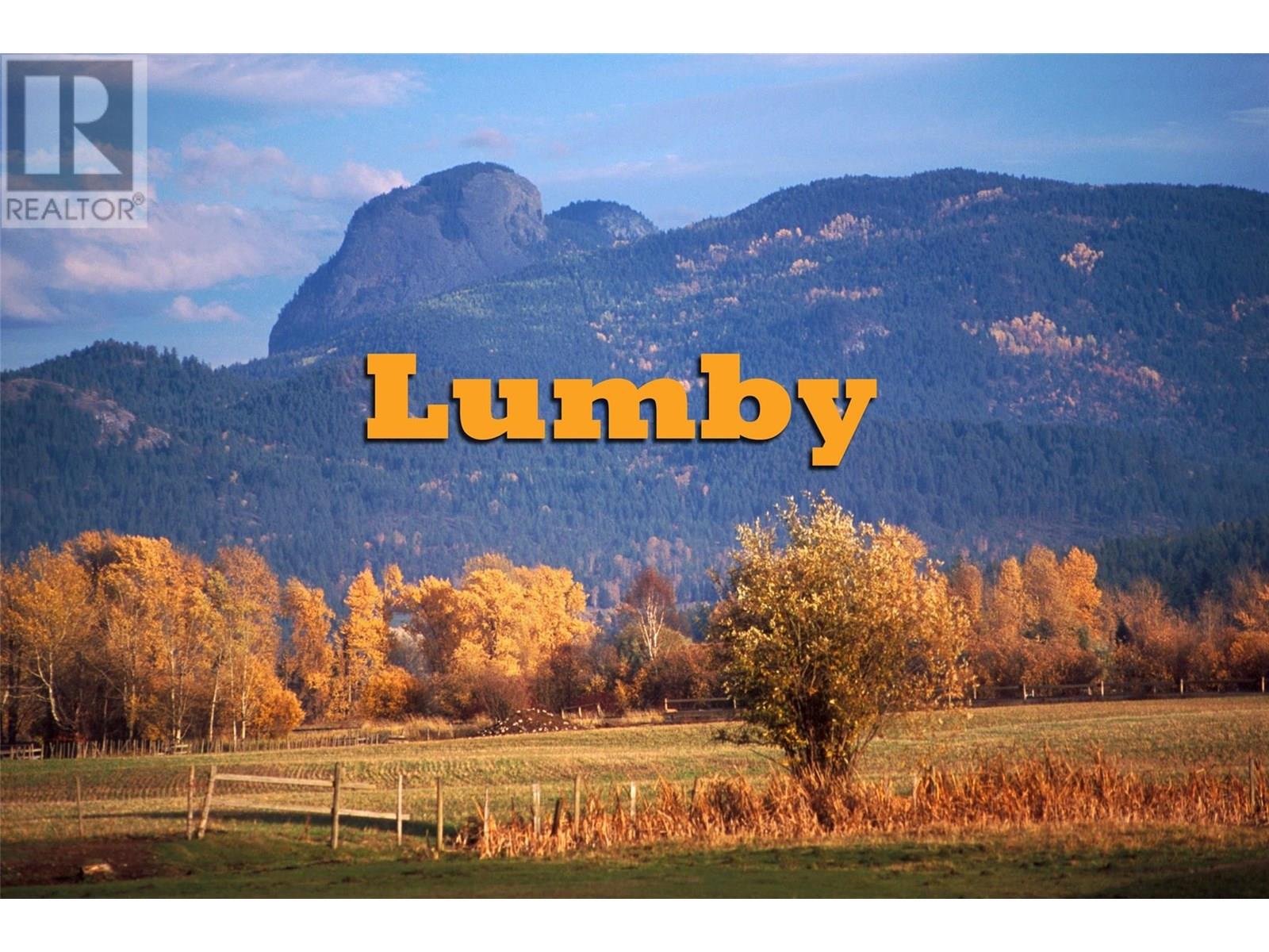910 Lumby Mabel Lake Road, Lumby, British Columbia  V0E 2G5 - Photo 61 - 10353461