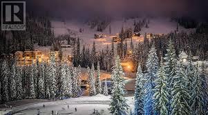 910 Lumby Mabel Lake Road, Lumby, British Columbia  V0E 2G5 - Photo 65 - 10353461