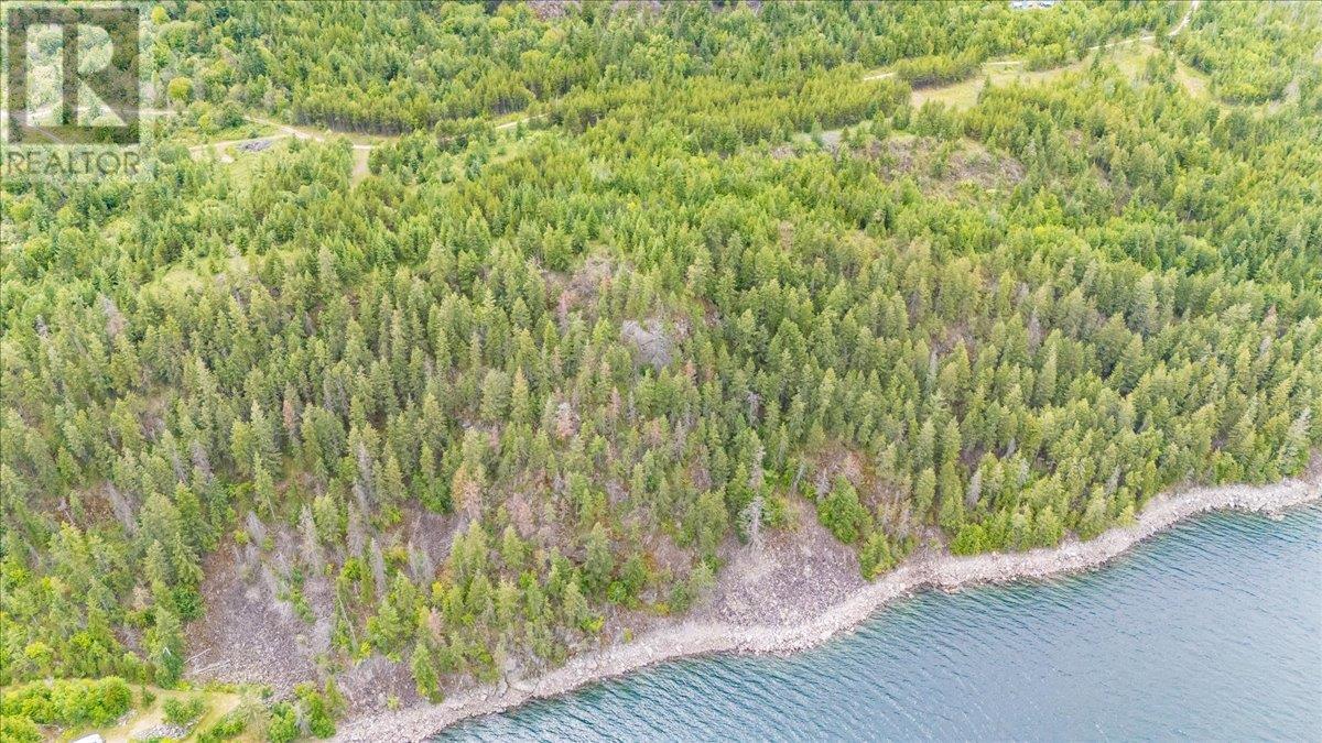 Lower Arrow Lake Lot# 5, Castlegar, British Columbia  V1N 3H9 - Photo 11 - 10353636