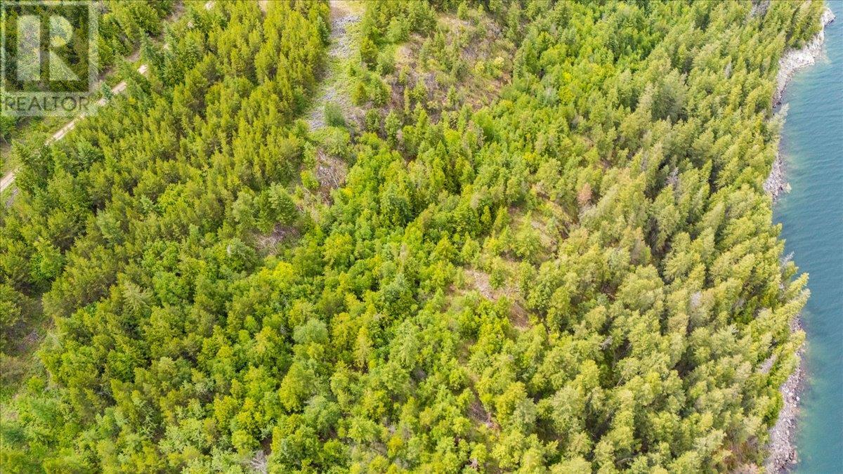 Lower Arrow Lake Lot# 5, Castlegar, British Columbia  V1N 3H9 - Photo 17 - 10353636