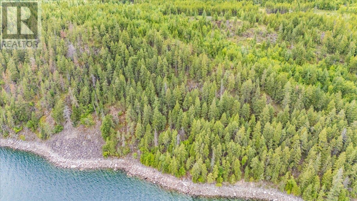 Lower Arrow Lake Lot# 5, Castlegar, British Columbia  V1N 3H9 - Photo 21 - 10353636