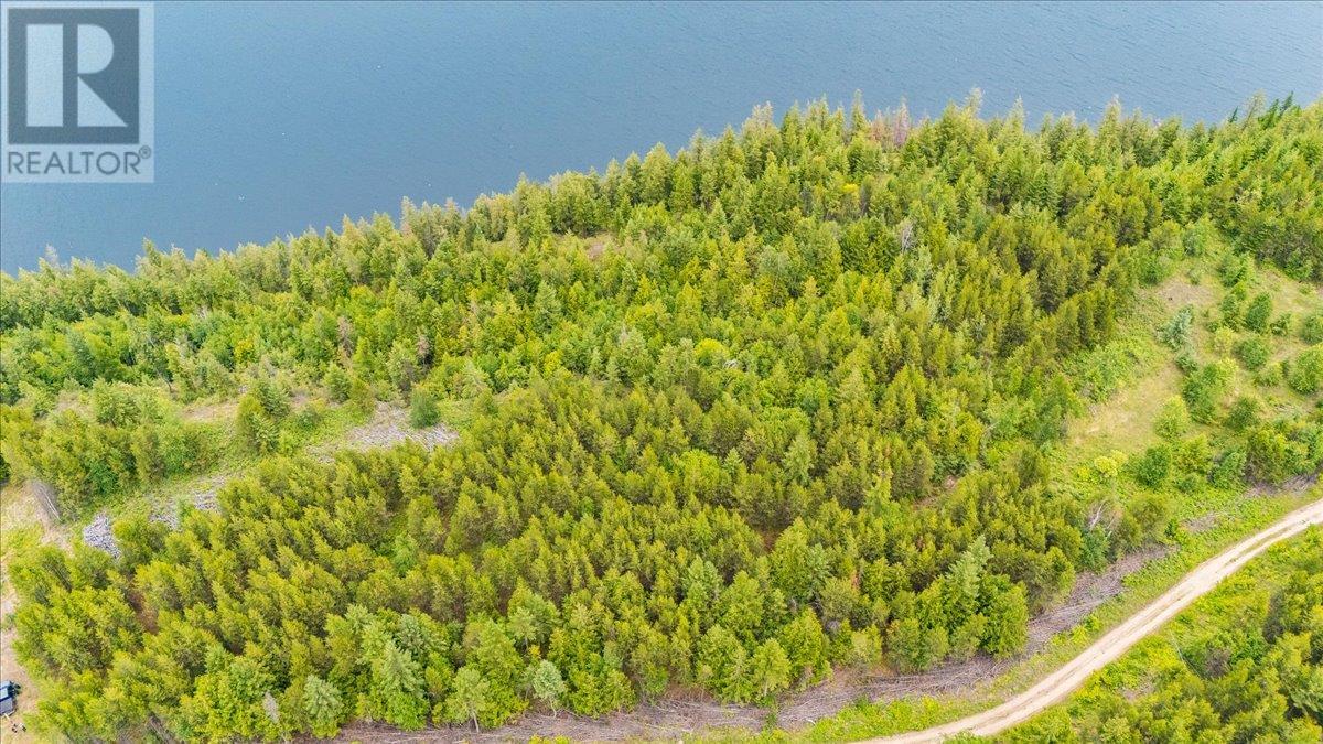 Lower Arrow Lake Lot# 5, Castlegar, British Columbia  V1N 3H9 - Photo 24 - 10353636