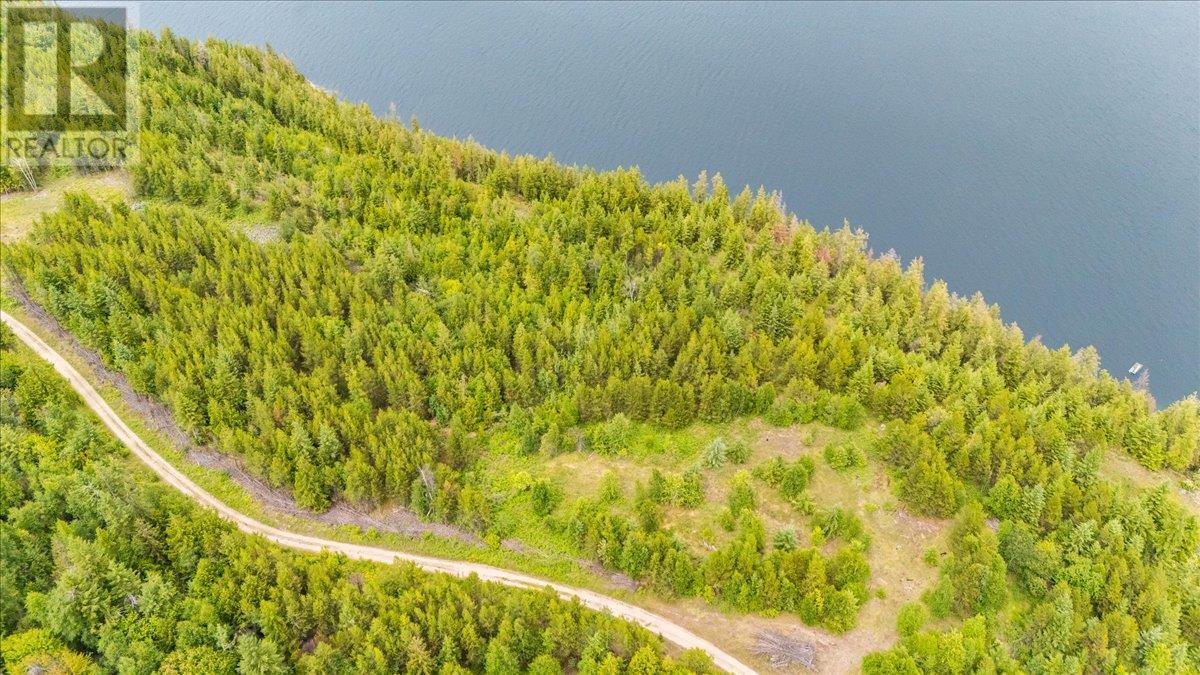 Lower Arrow Lake Lot# 5, Castlegar, British Columbia  V1N 3H9 - Photo 34 - 10353636