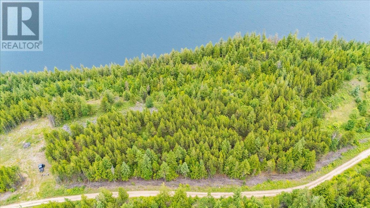 Lower Arrow Lake Lot# 5, Castlegar, British Columbia  V1N 3H9 - Photo 38 - 10353636