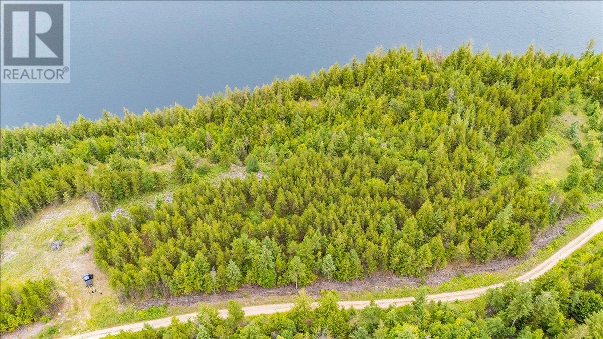 Lower Arrow Lake Lot# 5, Castlegar, British Columbia  V1N 3H9 - Photo 40 - 10353636